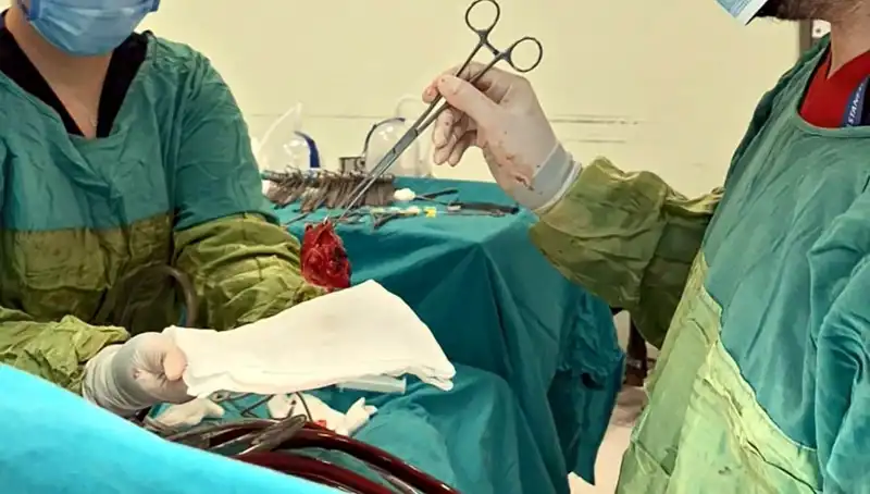 Kalp Kapağındaki Çürümeyi Yenen Hasta: 7 Saatlik Ameliyatın Ardındaki Mucizevi Hikaye
