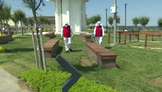 Kene Tehditi Artıyor: Halka Açık Alanlarda İlaçlama Çalışmaları Başlatıldı