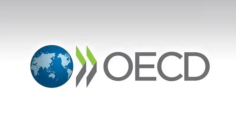 OECD'nin Türkiye İçin Büyüme Tahmini: Ekonomik Beklentiler ve Etkileri