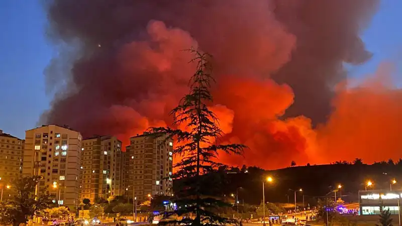 Bursa'da Yangınlar Şehri Kırmızıya Bürüdü: Neler Oluyor?