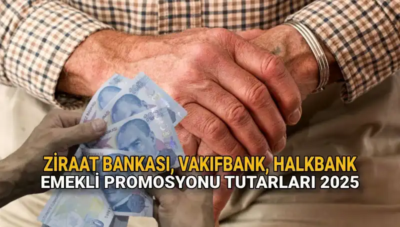 Kamu Bankalarından Emeklilere Promosyon Müjdesi: 2025 Detayları Açıklandı