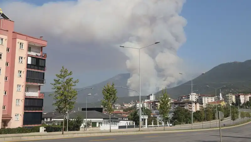 Denizli'deki Orman Yangını: Kimliği Belirsiz Şüpheli Gözaltına Alındı