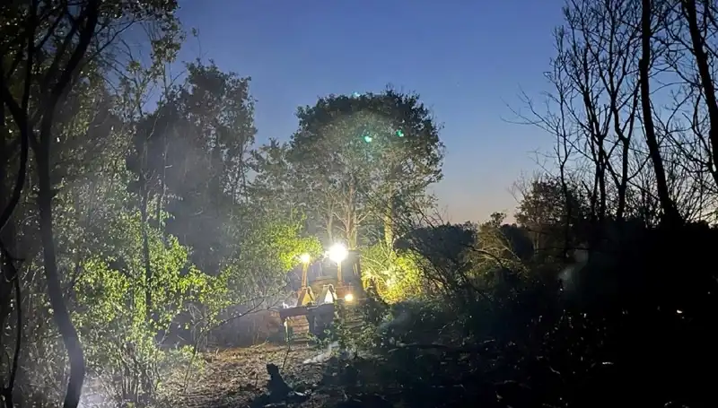 Edirne'de Büyüyen Orman Yangını Kontrol Altına Alındı: Ayrıntılar Burada!