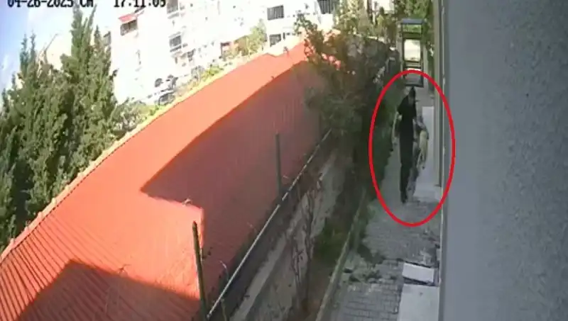 Veteriner Doktorun Dehşet Verici Eylemi: Sahiplendiği Köpekleri Parçaladı