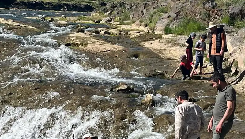 İnci Kefalinin Göçü: Doğa Harikasının Büyüleyici Yolculuğu