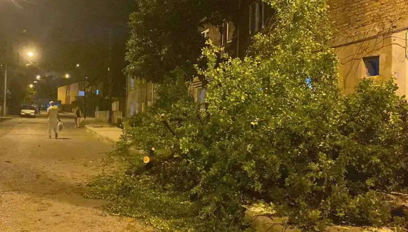 Karabük'te Şiddetli Fırtına: Şehirdeki Etkileri ve Kurtarma Çalışmaları