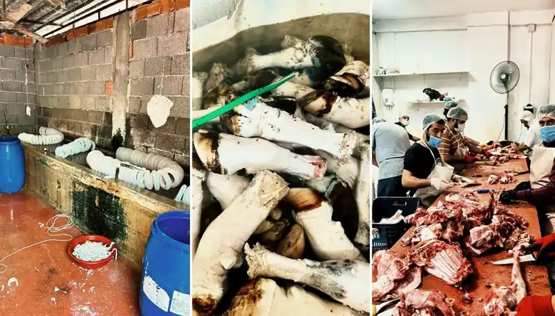 Adana'da Şok Eden Mide Bulandıran Görüntüler: Yüzlerce Kilo Paça Ele Geçirildi