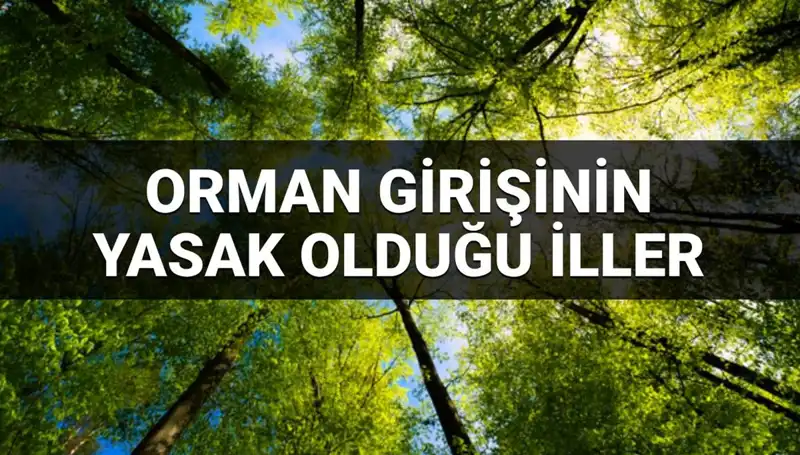 Orman Giriş Yasağıyla Sarsılan Türkiye: 2025'te Hangi İllerde Yasak Var?