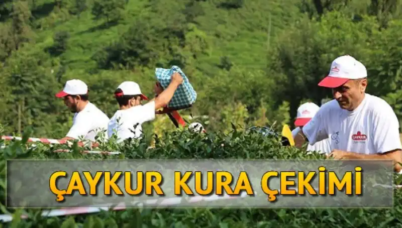 Çaykur Canlı Kura Sonuçları: Nasıl Takip Edilir ve İsim Listesine Ulaşılır?