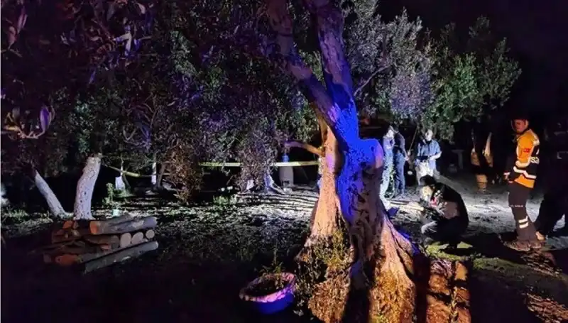 Çiftlikteki Baltalı Vahşete Sürpriz Tutuklama: Gözaltına Alınanlar Kimler?