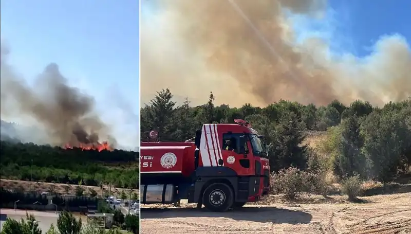 Gebze'deki Orman Yangını: Doğayı Tehdit Eden Felaketin İç Yüzü
