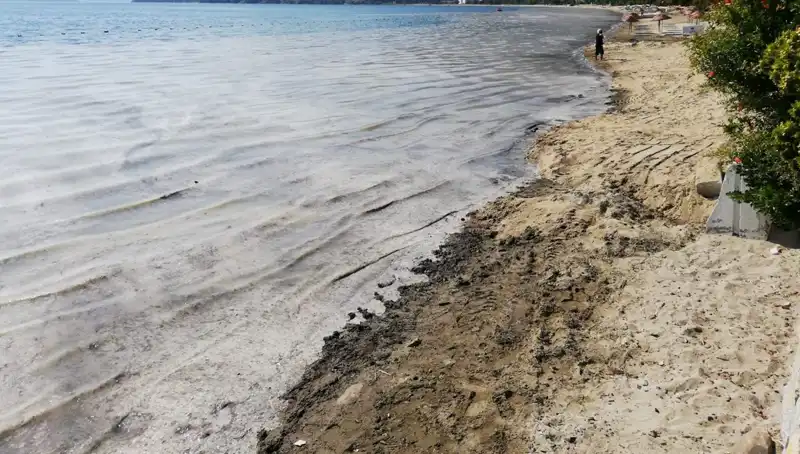Müsilaj Problemi: 268 İşletmenin Faaliyeti Durduruldu, Denizdeki Tehlike Artıyor