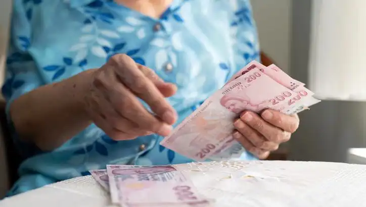 Emeklileri Hedef Alan Dolandırıcılık Yöntemleri: Neler Oluyor?