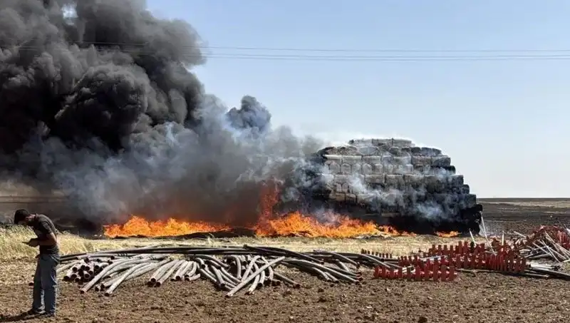 Mardin'de Anız Yangınları: Tarım Üzerindeki Tehditler ve Çözüm Yolları